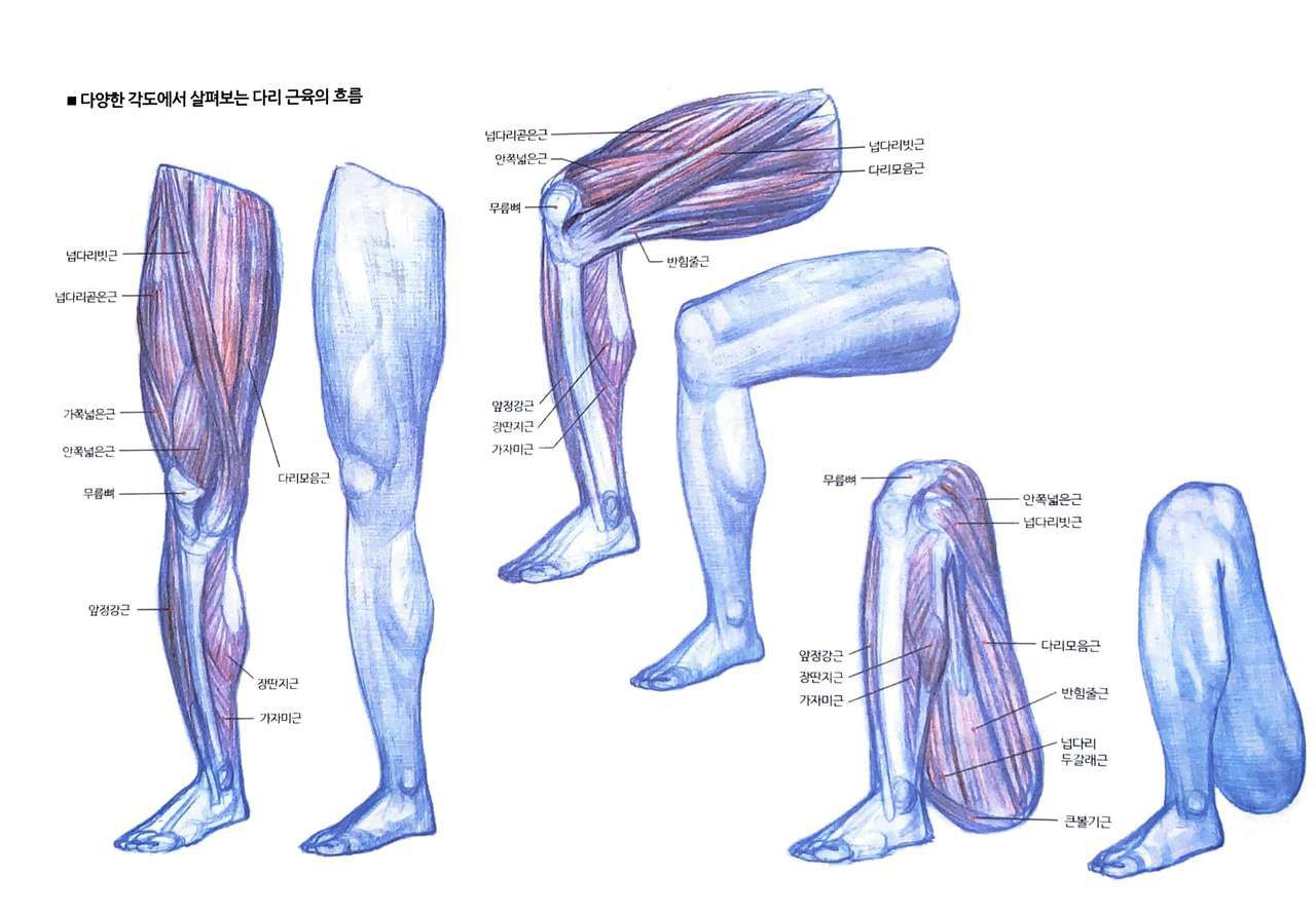 RockHe Kim's Anatomy Drawing Class 178