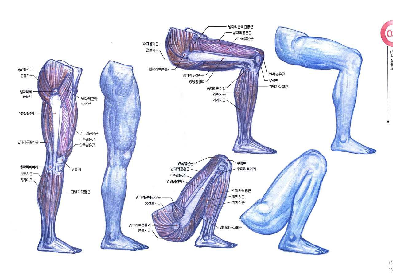 RockHe Kim's Anatomy Drawing Class 179