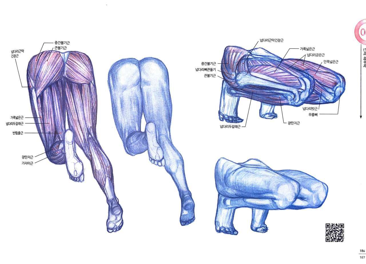 RockHe Kim's Anatomy Drawing Class 181