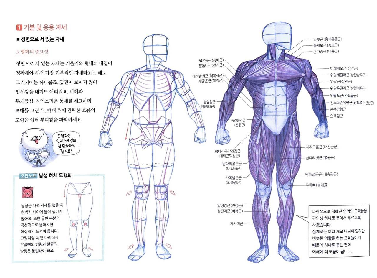 RockHe Kim's Anatomy Drawing Class 184