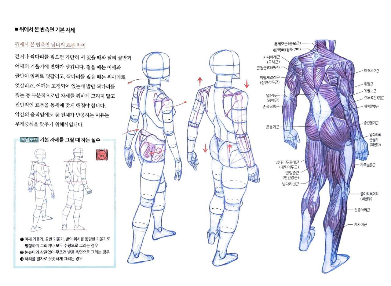 RockHe Kim's Anatomy Drawing Class 188