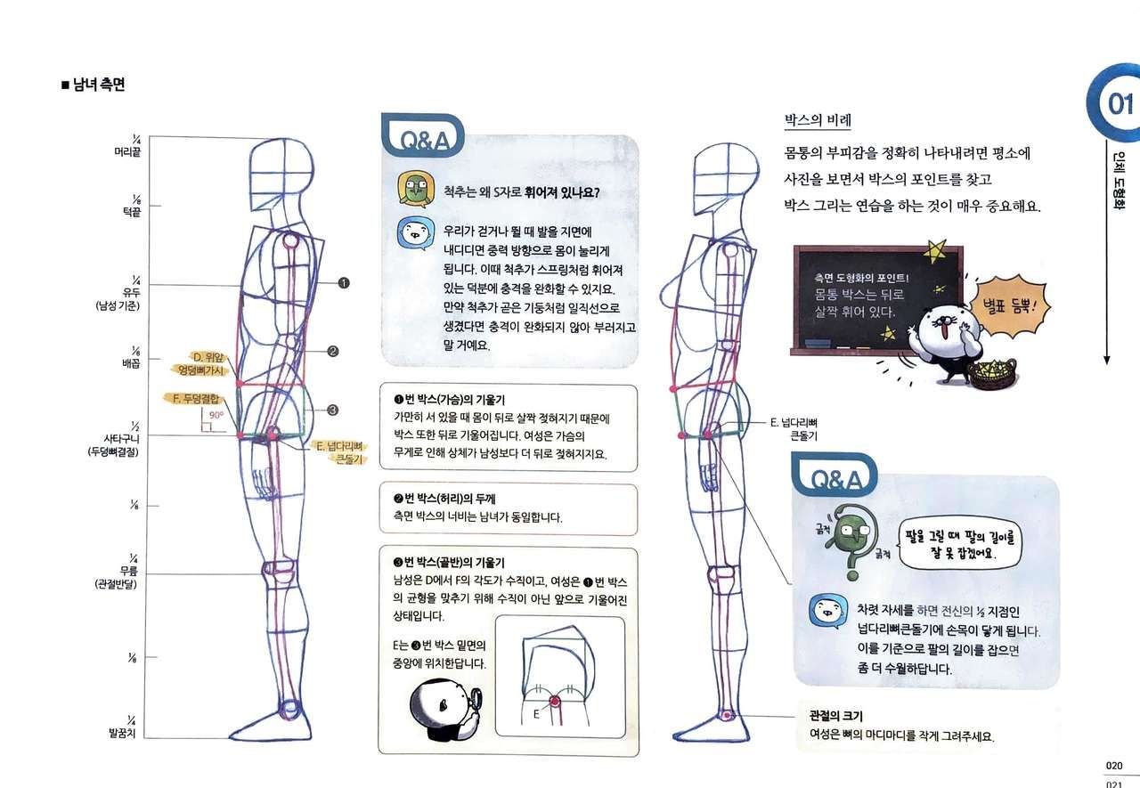 RockHe Kim's Anatomy Drawing Class 19