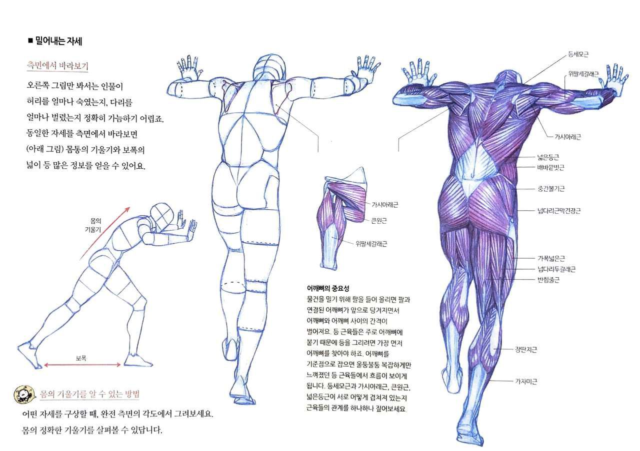 RockHe Kim's Anatomy Drawing Class 192