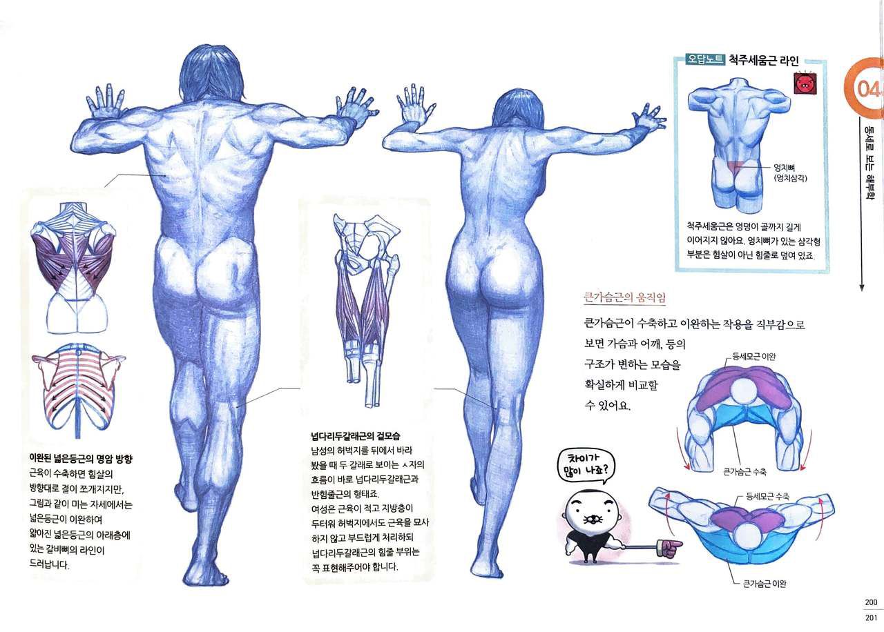 RockHe Kim's Anatomy Drawing Class 193