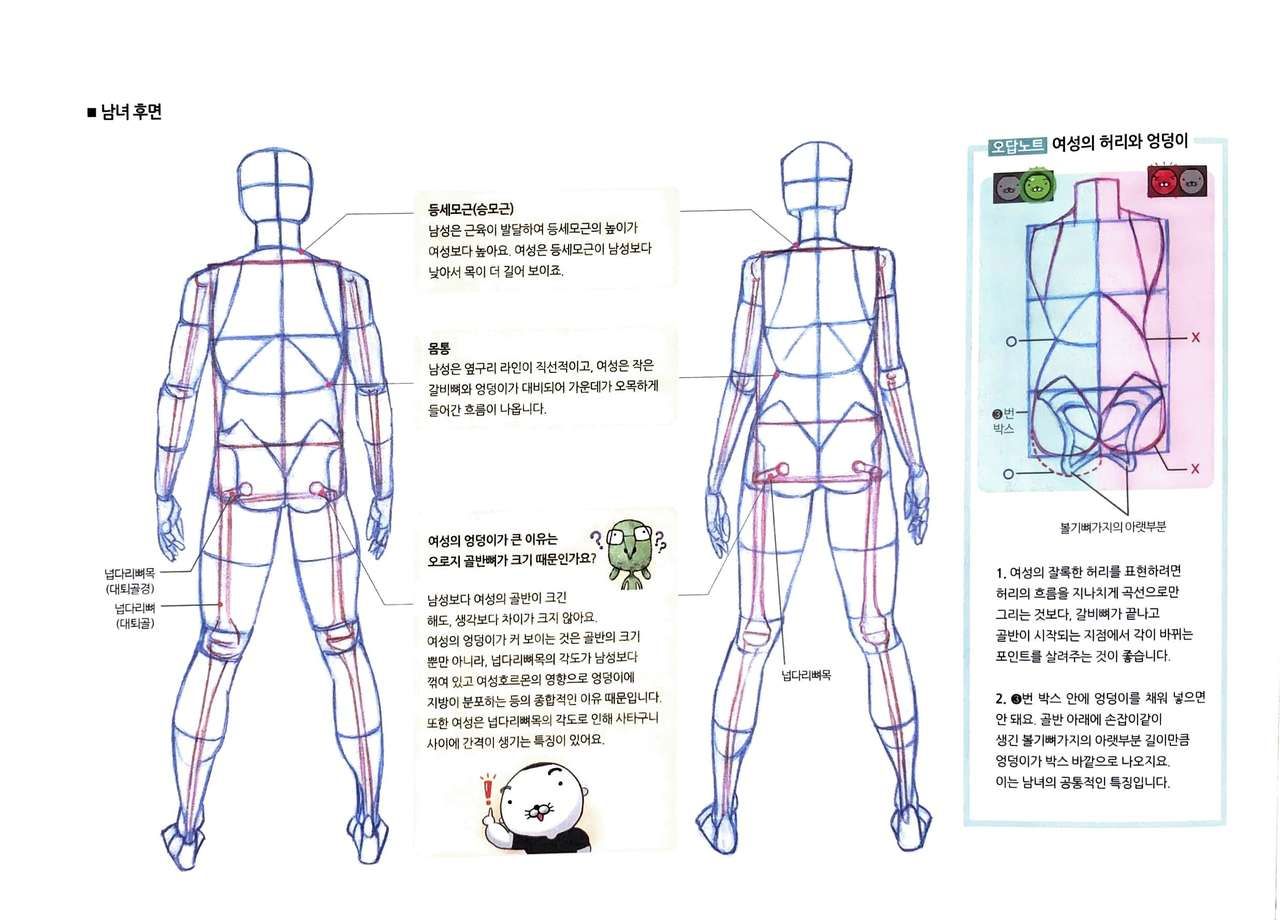 RockHe Kim's Anatomy Drawing Class 20