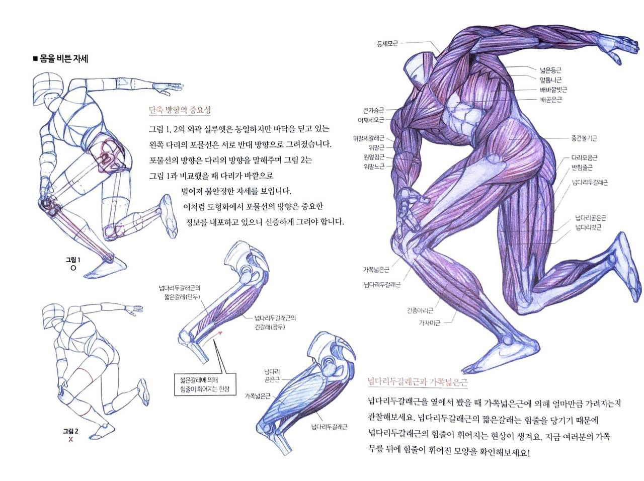 RockHe Kim's Anatomy Drawing Class 200