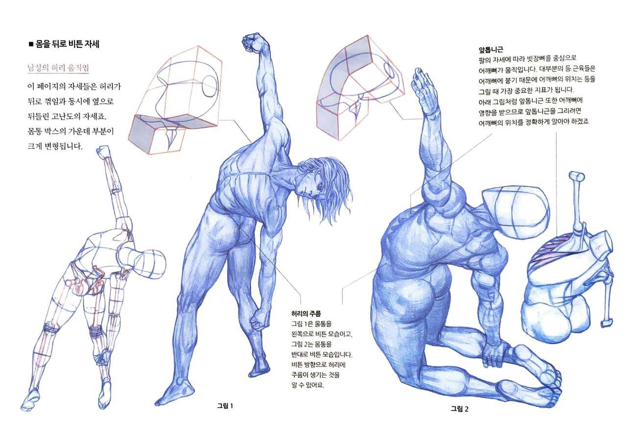 RockHe Kim's Anatomy Drawing Class 204