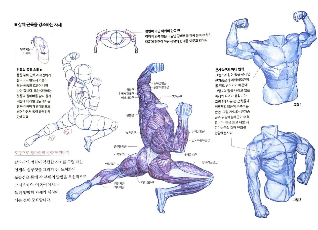 RockHe Kim's Anatomy Drawing Class 220