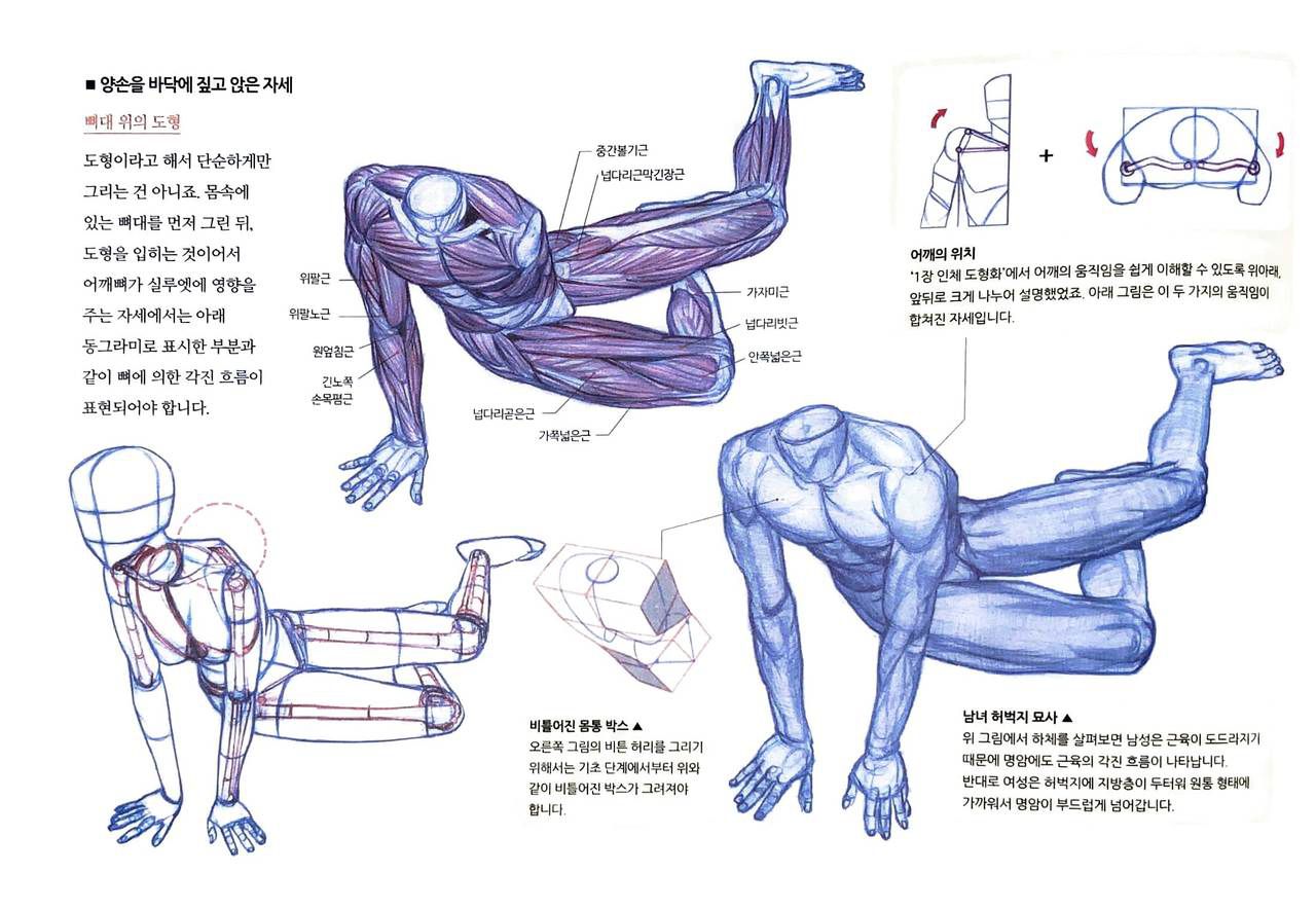 RockHe Kim's Anatomy Drawing Class 236