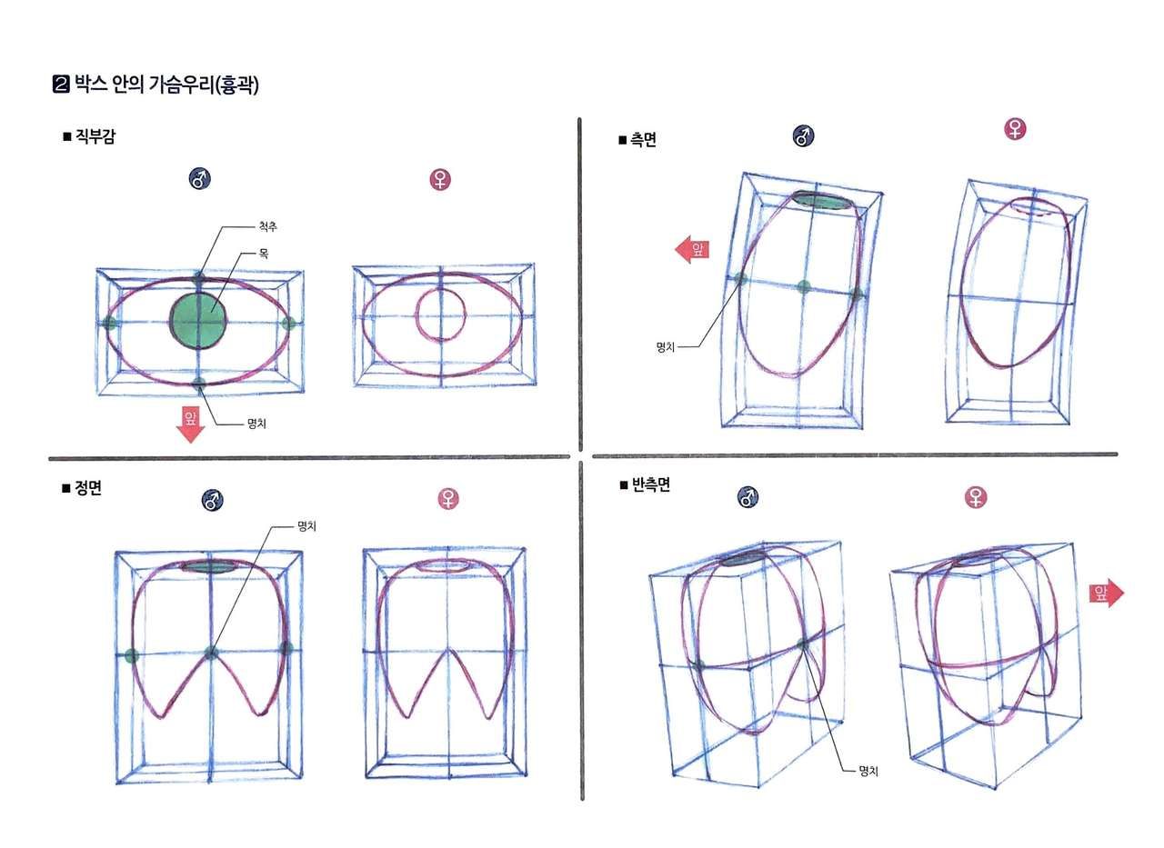 RockHe Kim's Anatomy Drawing Class 24