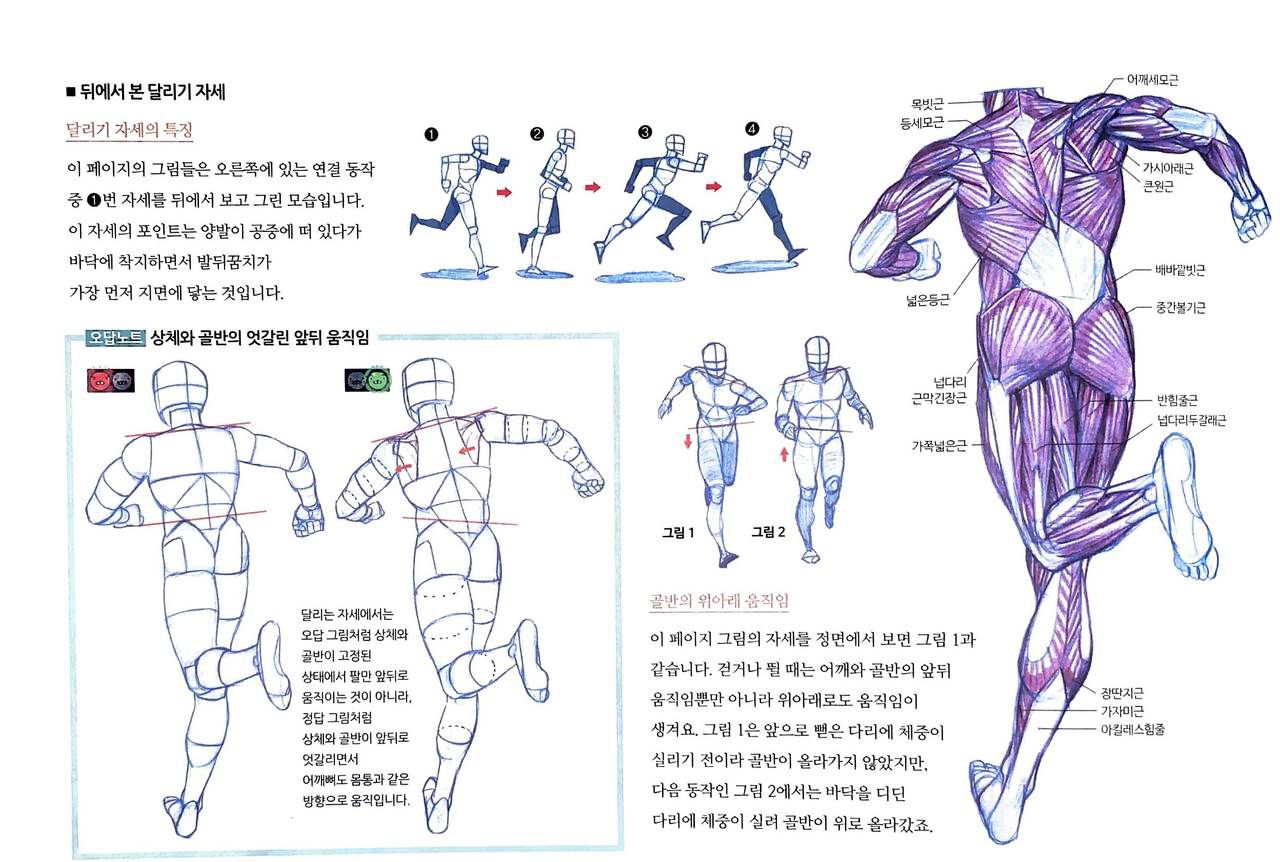 RockHe Kim's Anatomy Drawing Class 244