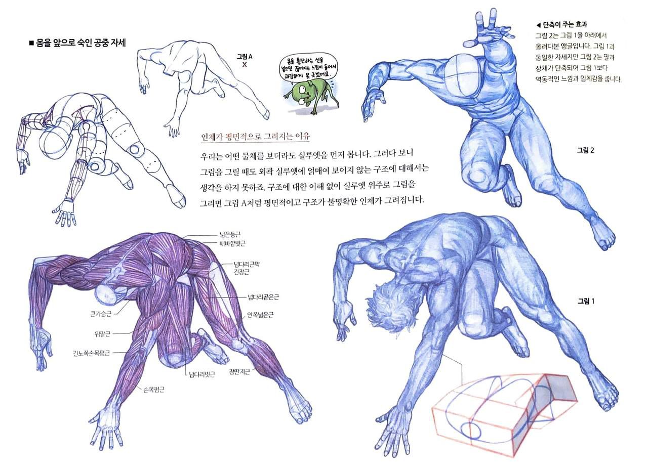 RockHe Kim's Anatomy Drawing Class 254