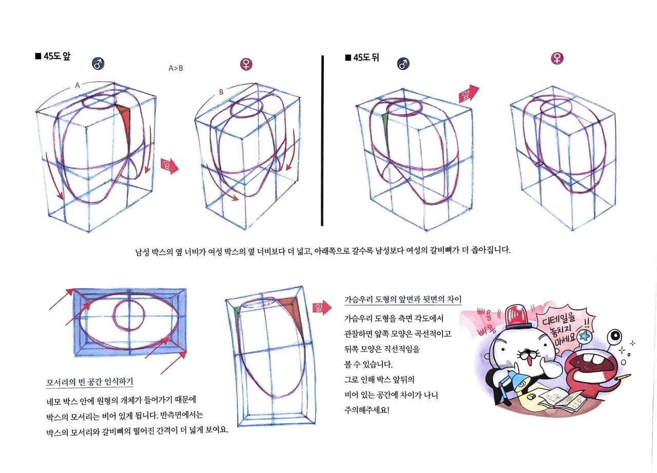 RockHe Kim's Anatomy Drawing Class 26