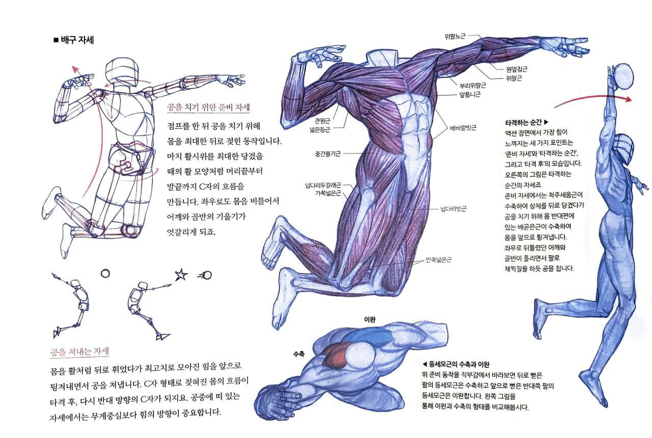 RockHe Kim's Anatomy Drawing Class 262