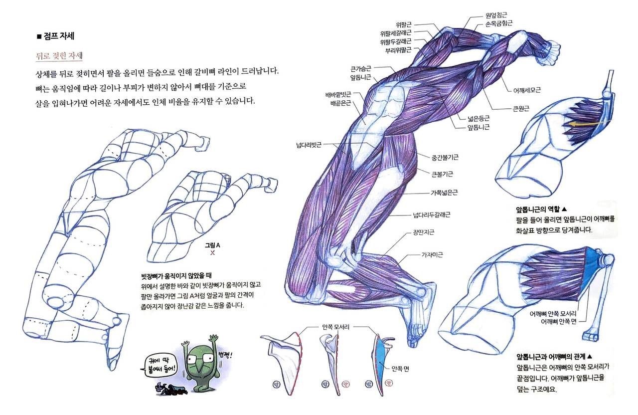 RockHe Kim's Anatomy Drawing Class 264