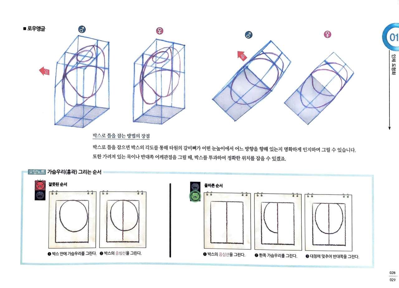 RockHe Kim's Anatomy Drawing Class 27