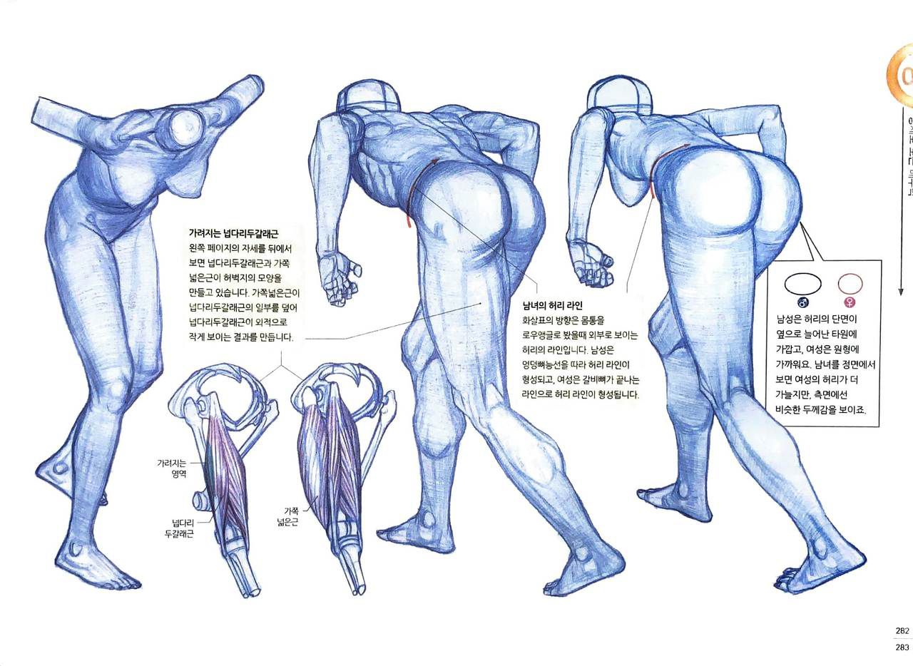 RockHe Kim's Anatomy Drawing Class 275