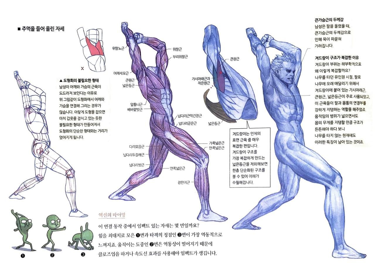 RockHe Kim's Anatomy Drawing Class 278