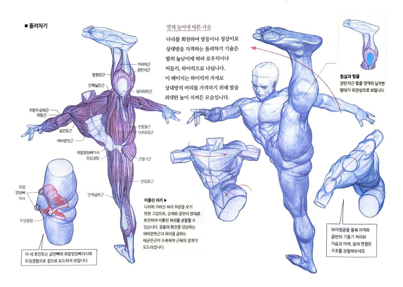 RockHe Kim's Anatomy Drawing Class 282