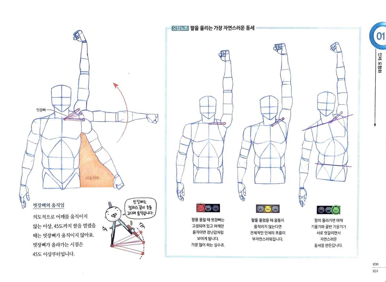 RockHe Kim's Anatomy Drawing Class 29