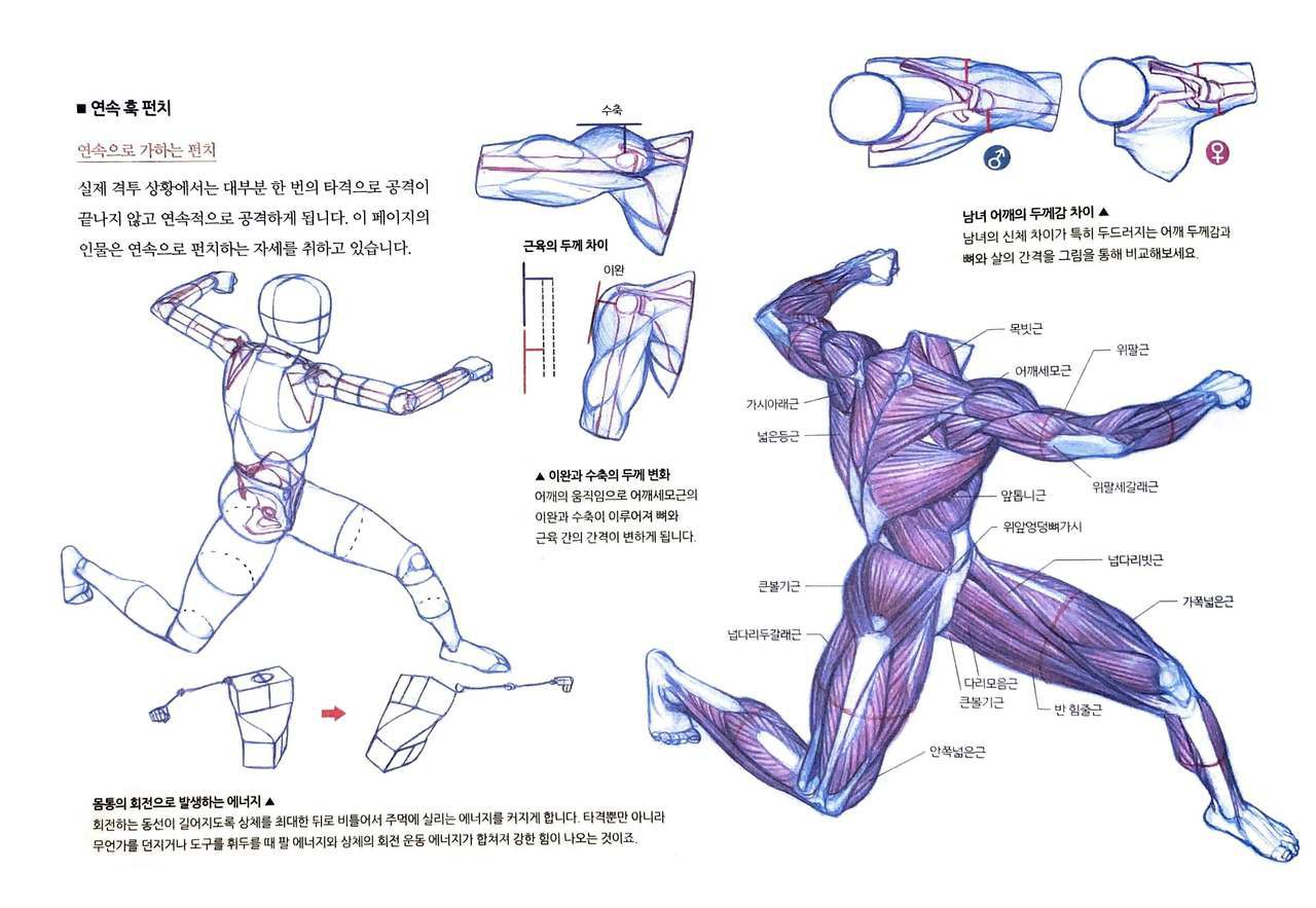 RockHe Kim's Anatomy Drawing Class 294