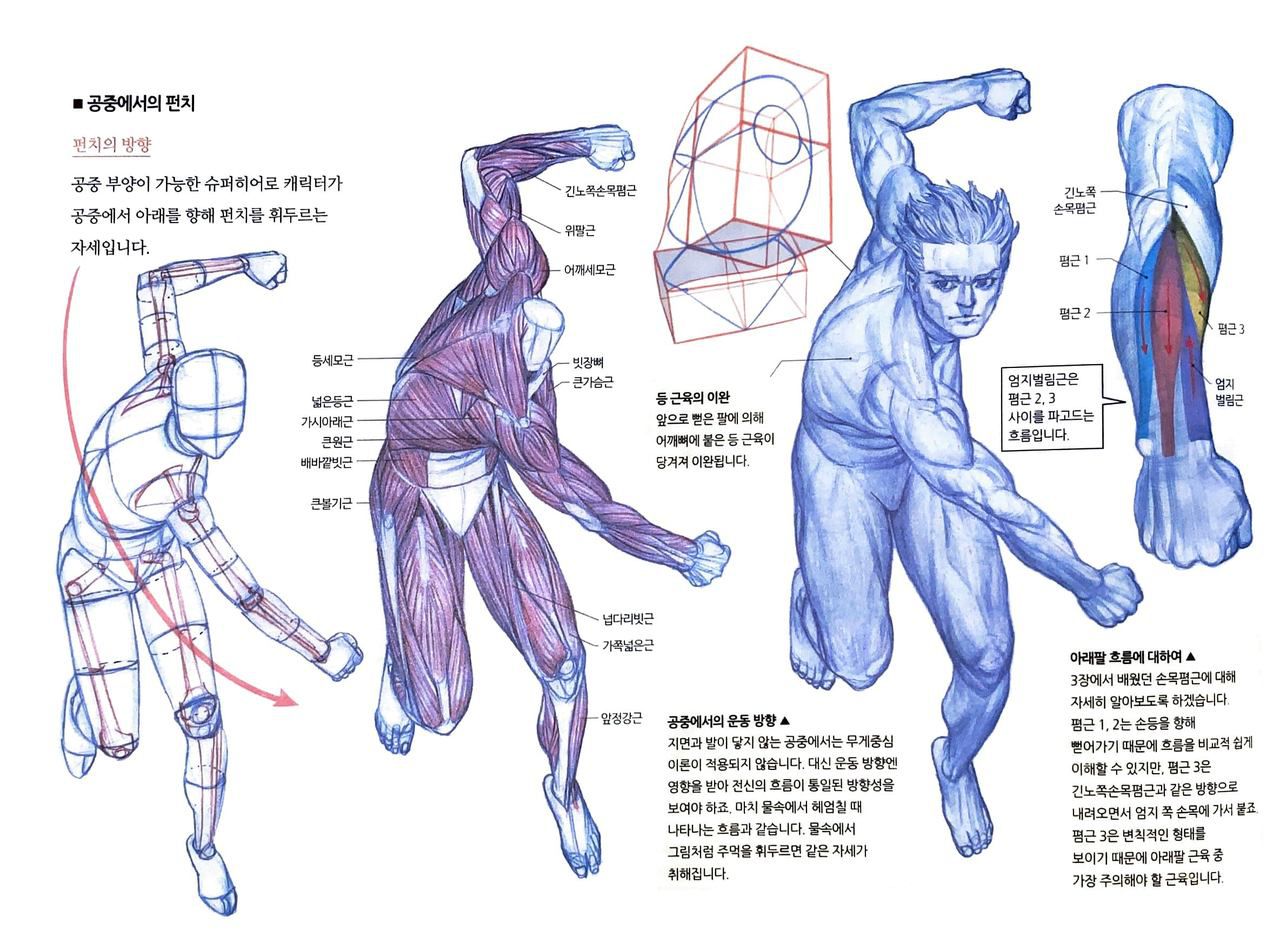 RockHe Kim's Anatomy Drawing Class 296