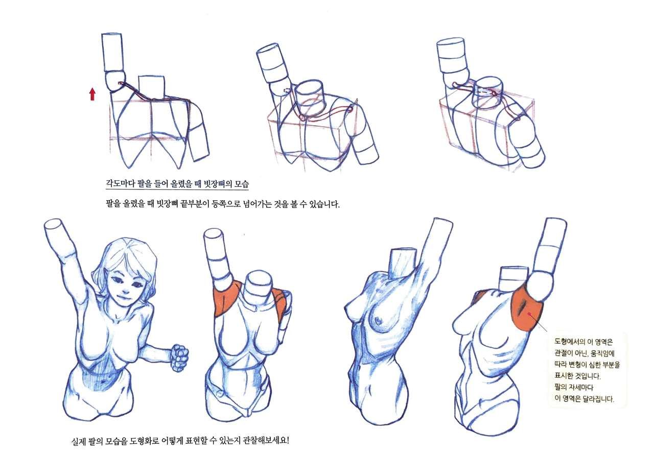 RockHe Kim's Anatomy Drawing Class 30