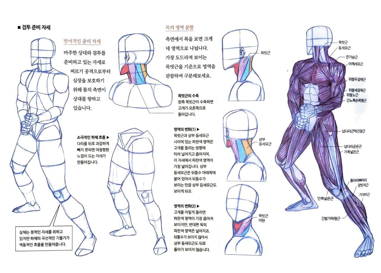 RockHe Kim's Anatomy Drawing Class 312