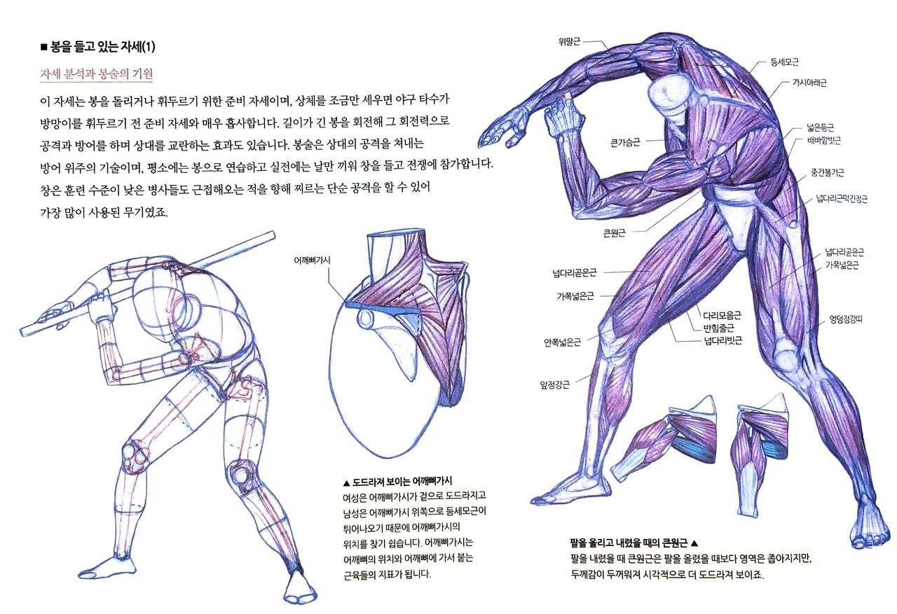 RockHe Kim's Anatomy Drawing Class 328