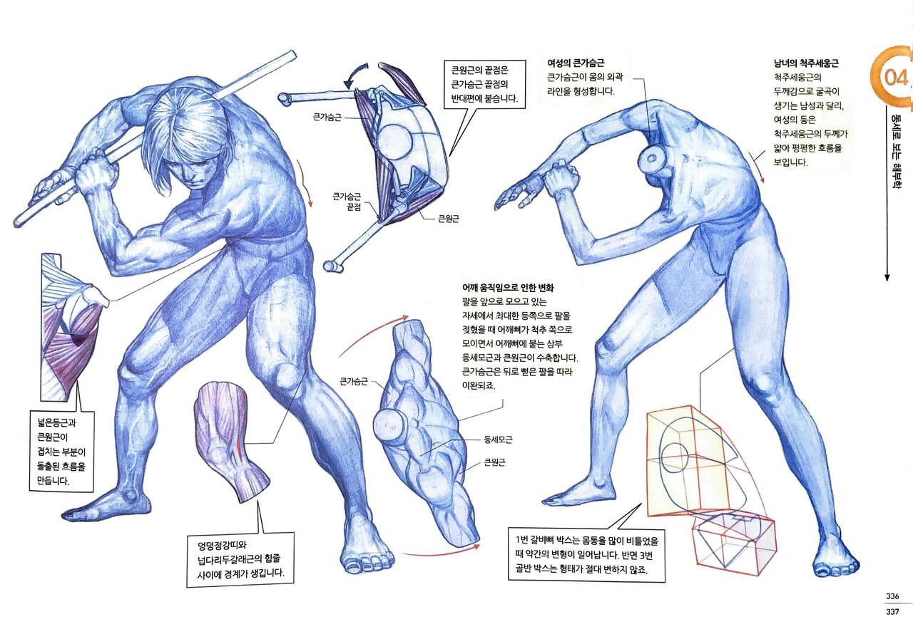 RockHe Kim's Anatomy Drawing Class 329