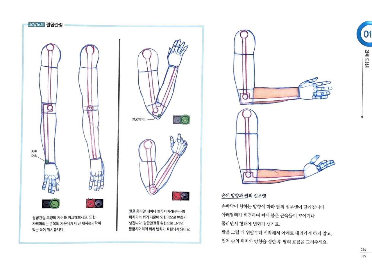 RockHe Kim's Anatomy Drawing Class 33