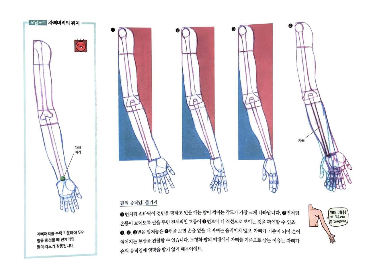 RockHe Kim's Anatomy Drawing Class 34