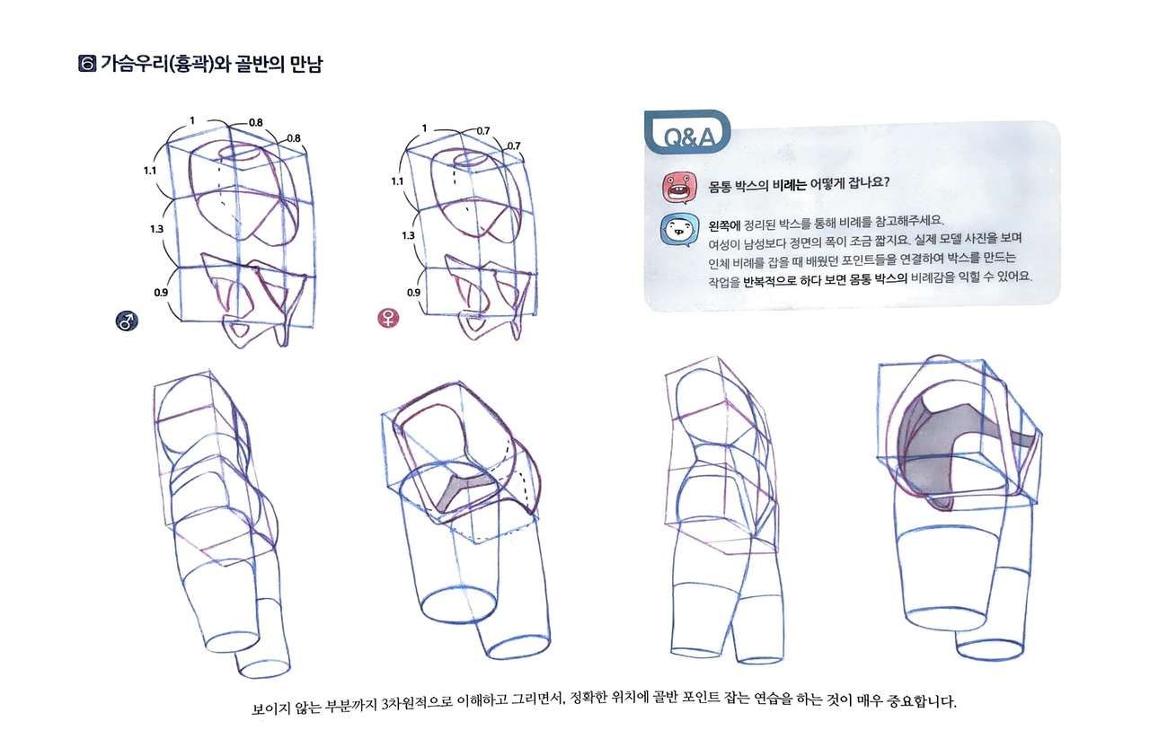 RockHe Kim's Anatomy Drawing Class 38