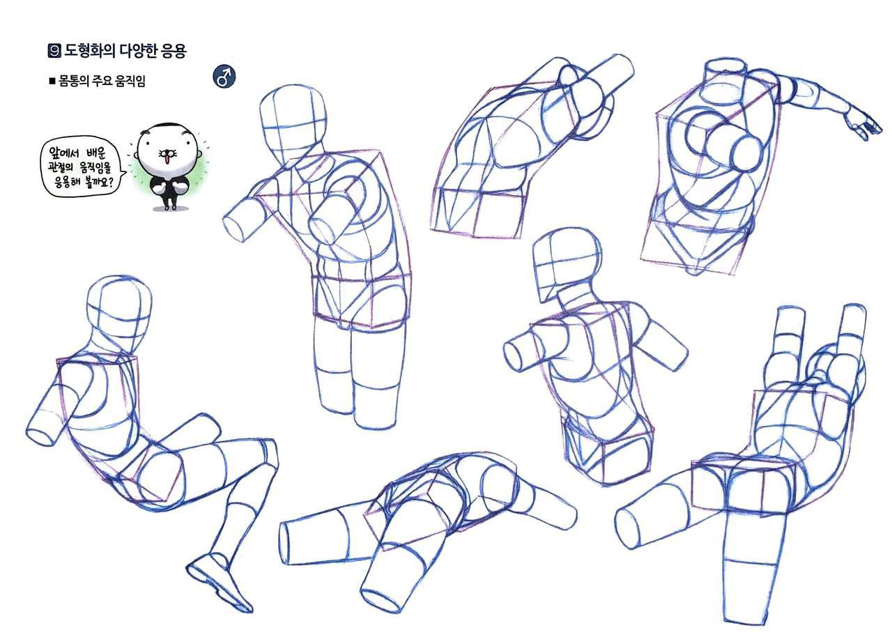 RockHe Kim's Anatomy Drawing Class 52