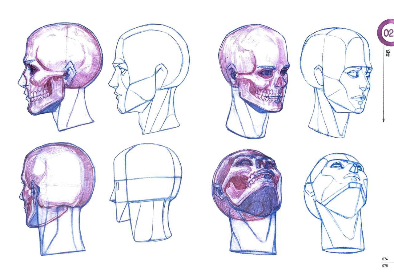 RockHe Kim's Anatomy Drawing Class 71