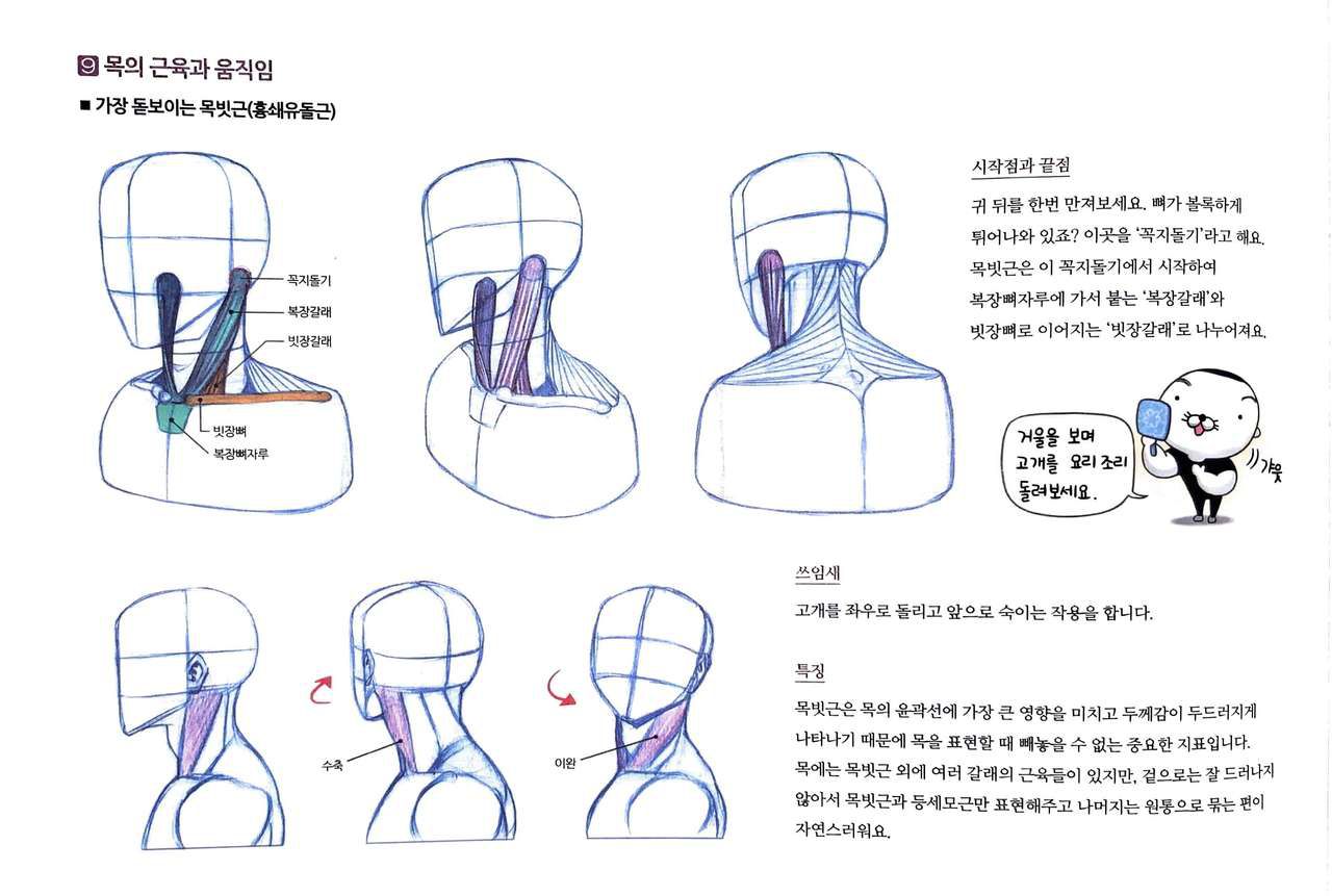 RockHe Kim's Anatomy Drawing Class 92