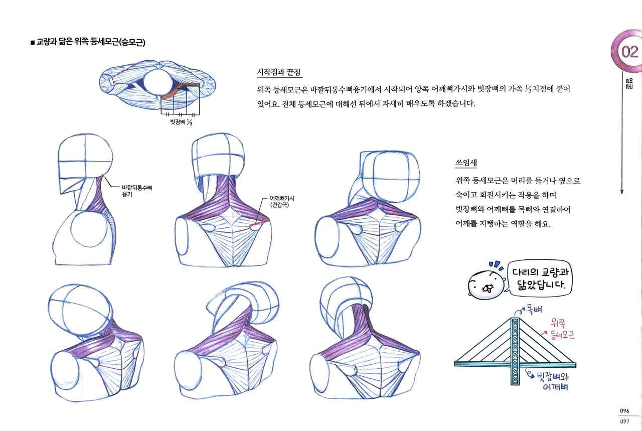 RockHe Kim's Anatomy Drawing Class 93