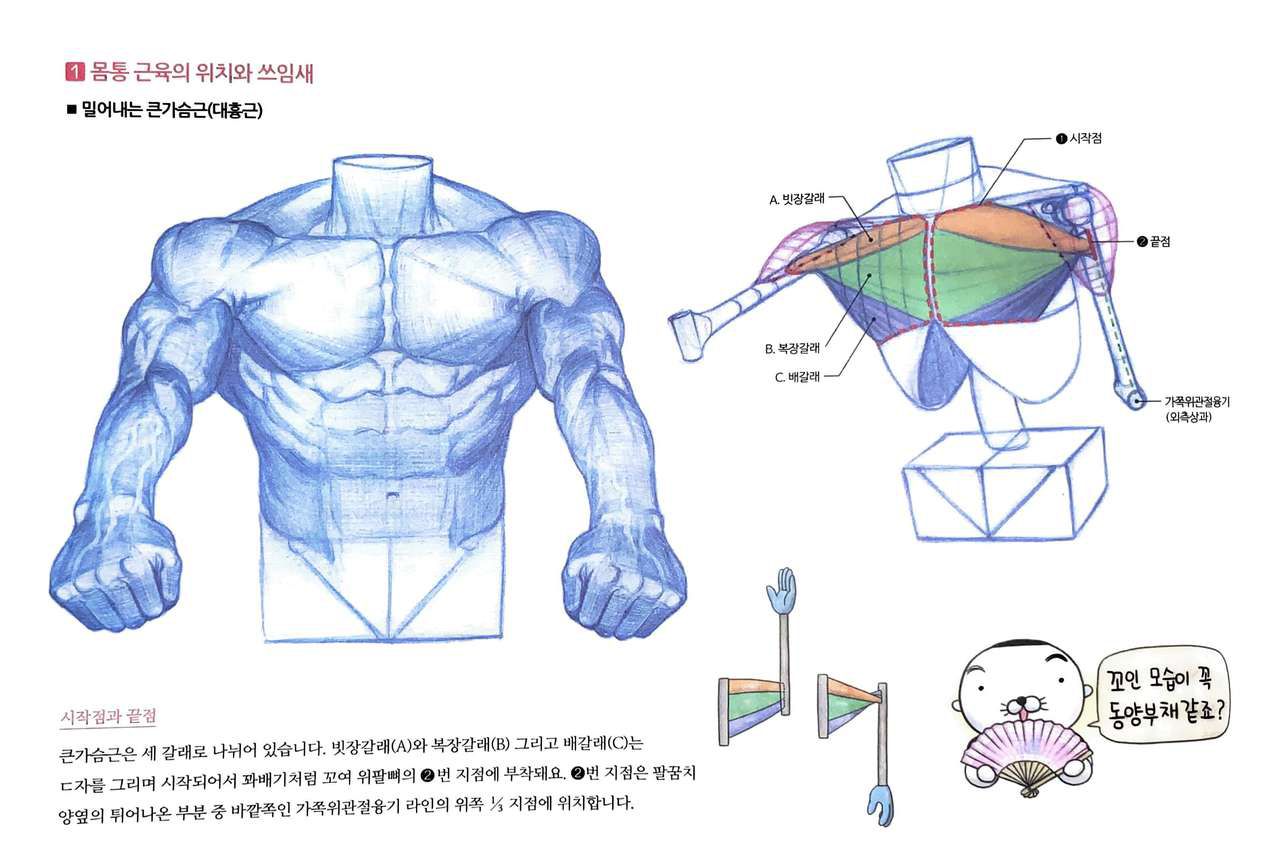 RockHe Kim's Anatomy Drawing Class 98