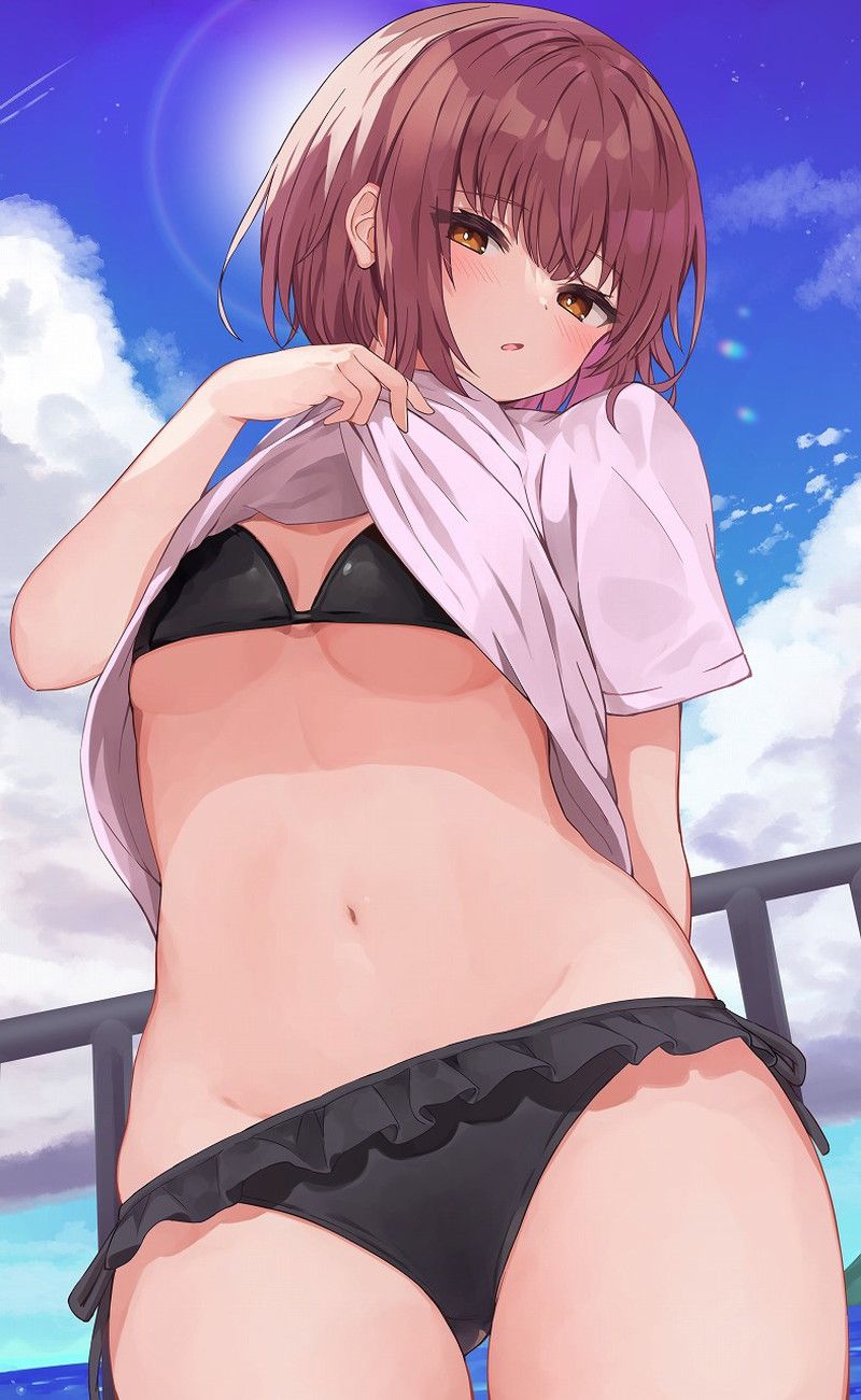 [100 sheets] summery blue sky and swimsuit beautiful girl's non-erotic secondary image summary Part 2 10
