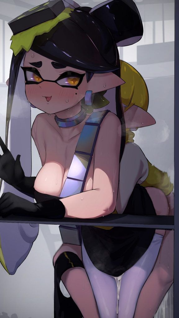 【Erotic Images】Splatoon Carefully Selected Images That Are Caught by Mania wwwwwwwwww 3
