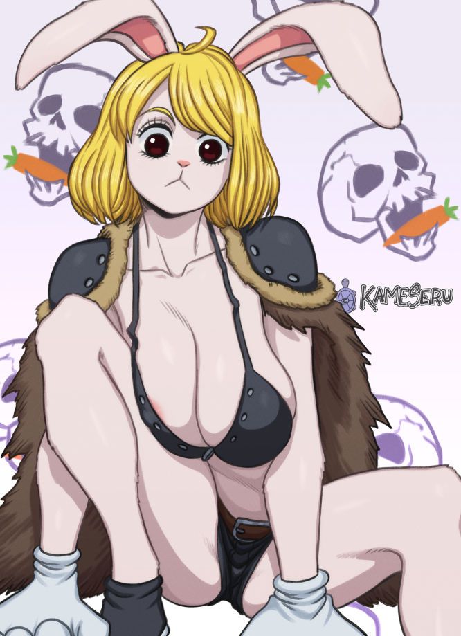 One Piece Collection Part 3 896