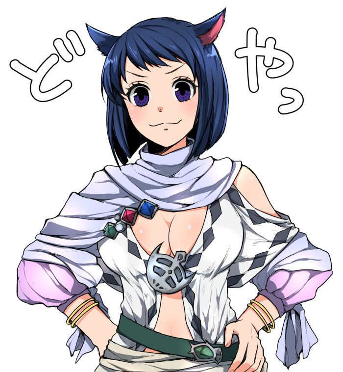 imageboard.neko-sentai.com siterip 66,000~67,999 855