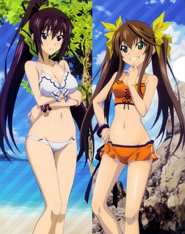 I want to pull out in the secondary erotic image of Infinite Stratos! 14