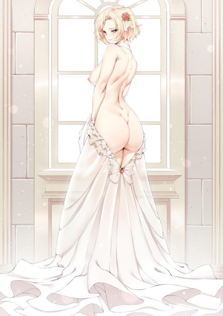 I want to make one shot with images of wedding dresses 1