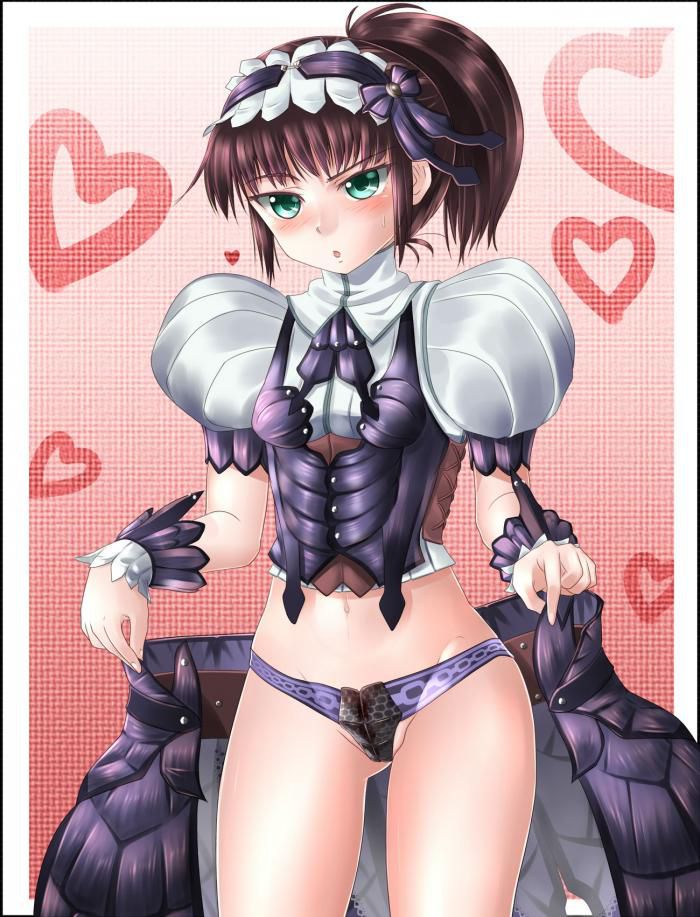 Release the monster hunter's erotic image folder 8