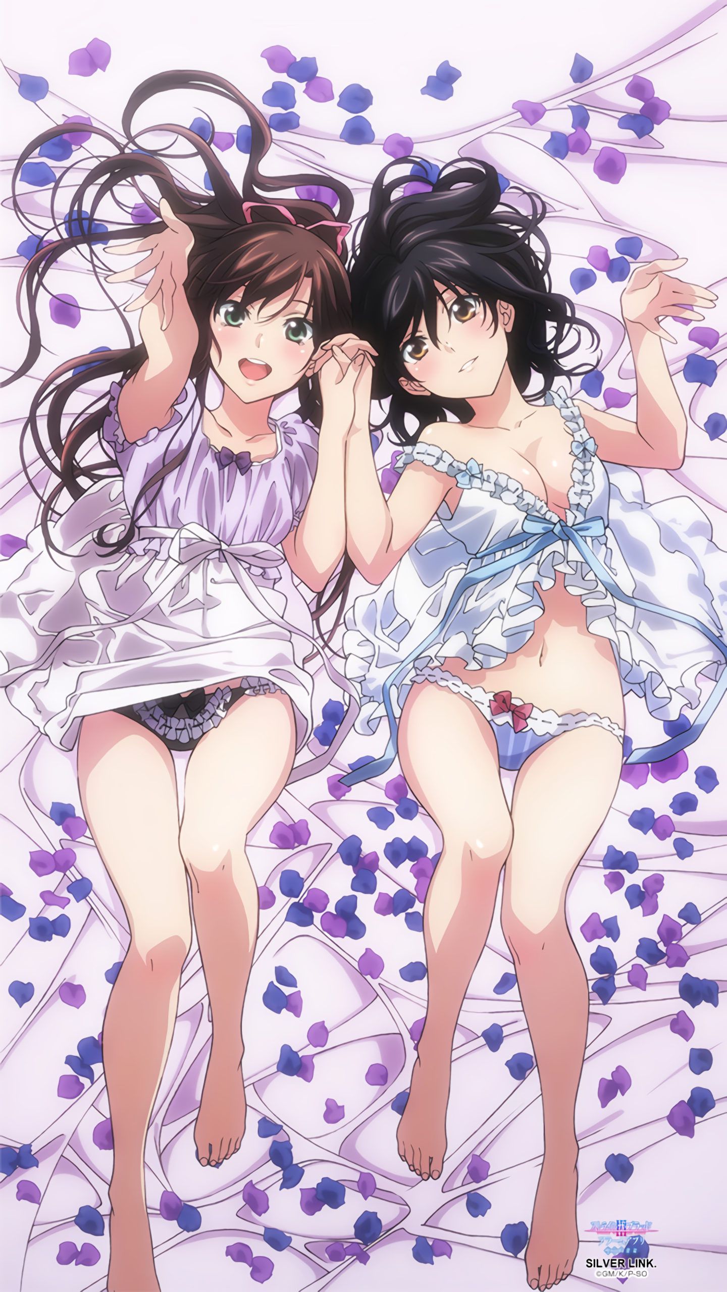 [Strike the Blood] heroine's erotic image such as Yukina Himehiiragi Part 32 1