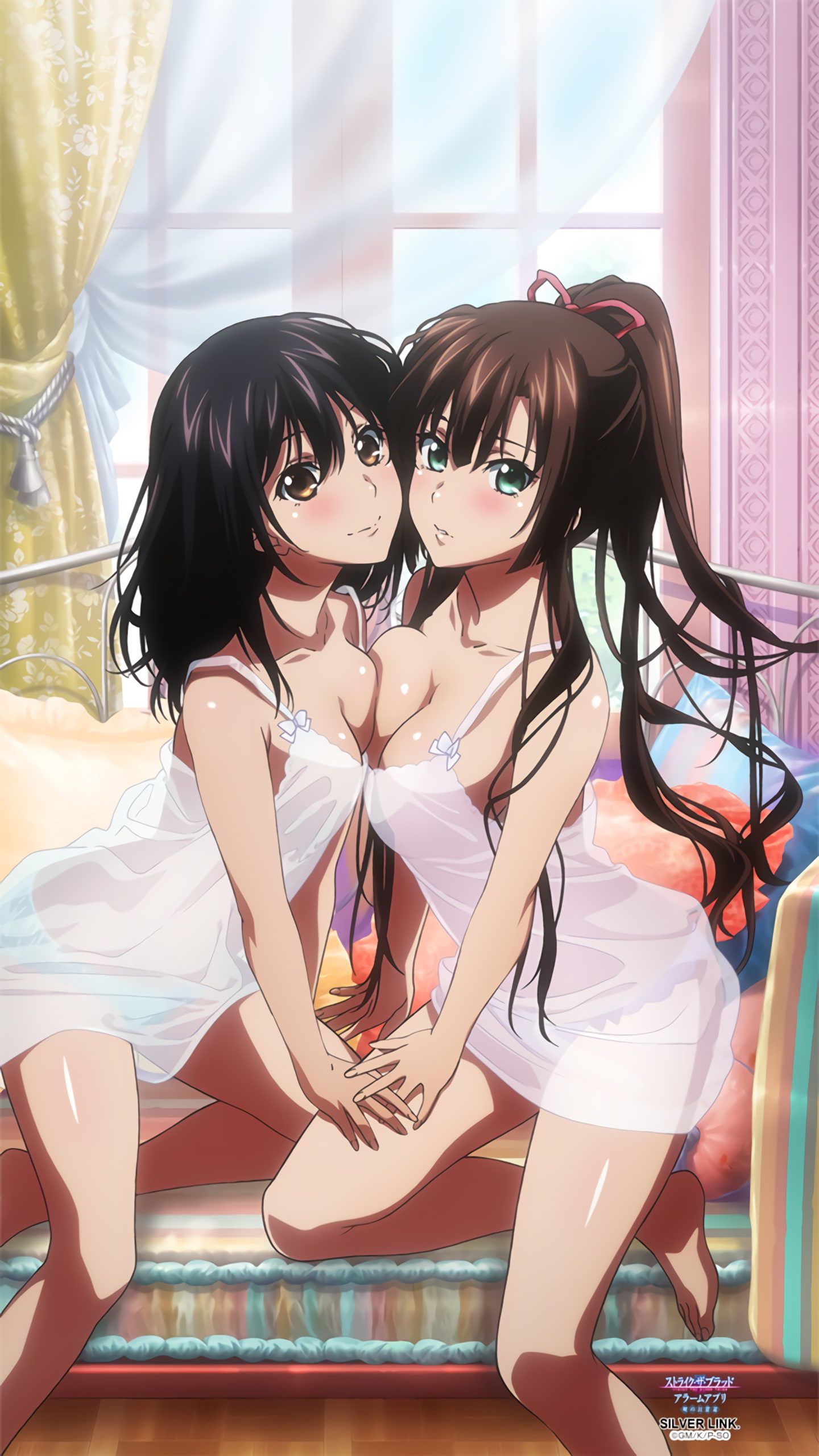 [Strike the Blood] heroine's erotic image such as Yukina Himehiiragi Part 32 36