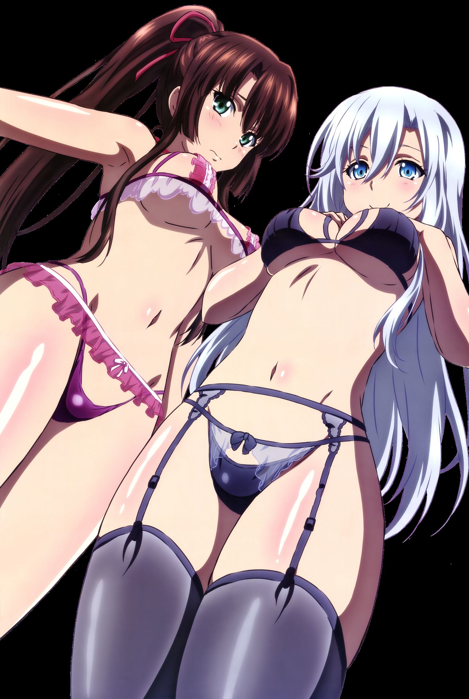 [Strike the Blood] heroine's erotic image such as Yukina Himehiiragi Part 32 8