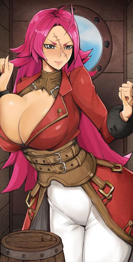 【Fate Grand Order】Frances Drake's cool and cute secondary erotic images 21