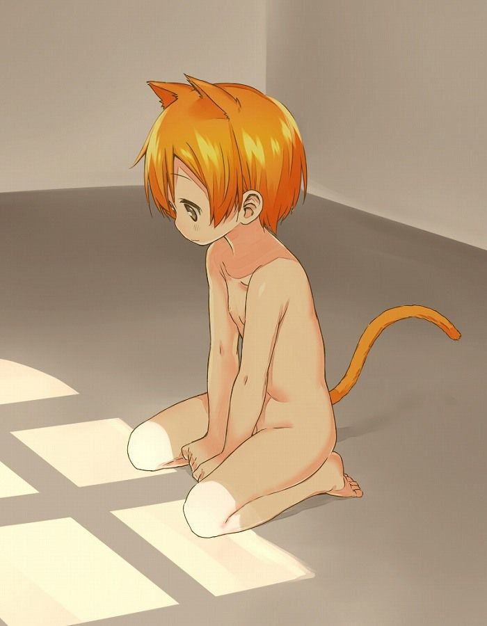 [Love Live! ] A cute picture furnace image summary of Rin Hoshizora 19